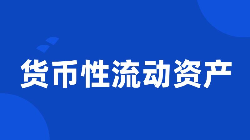 货币性流动资产