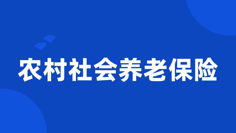 农村社会养老保险