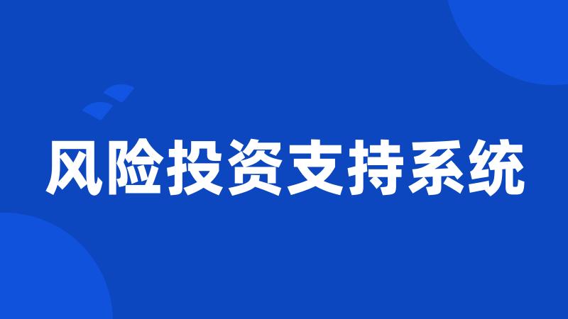 风险投资支持系统
