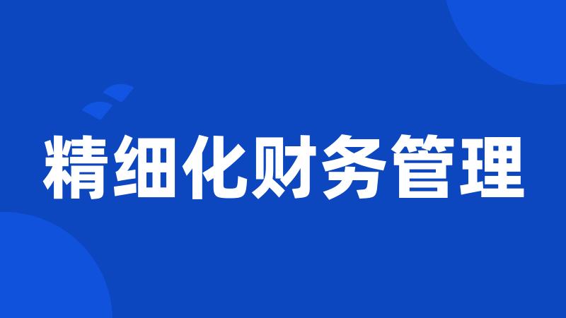 精细化财务管理
