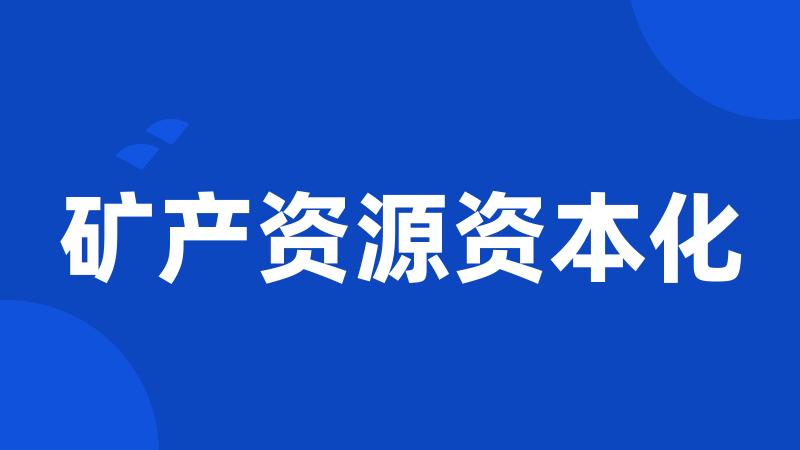 矿产资源资本化