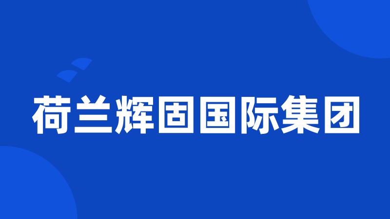 荷兰辉固国际集团