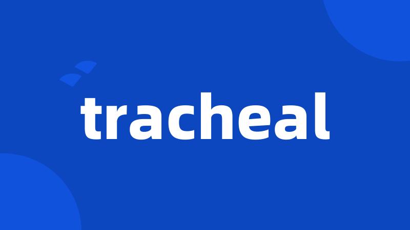 tracheal