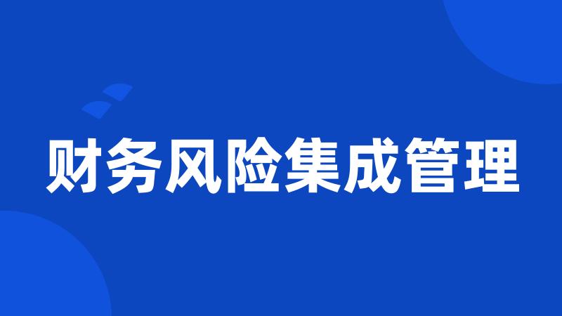 财务风险集成管理