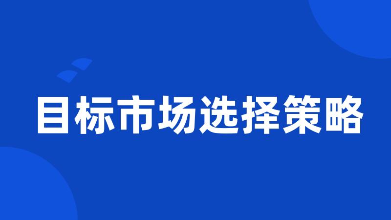 目标市场选择策略