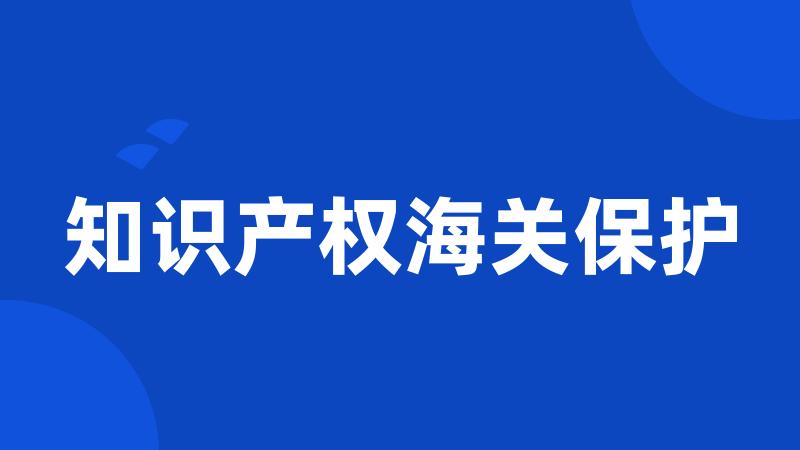 知识产权海关保护