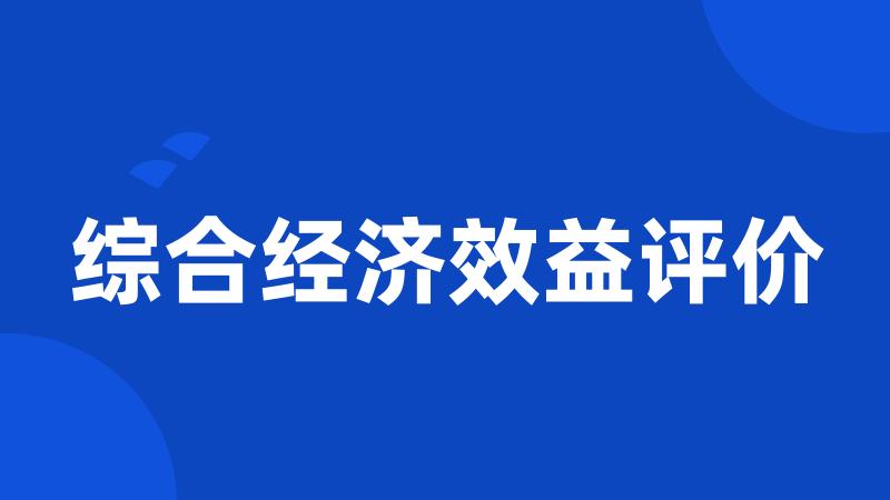 综合经济效益评价