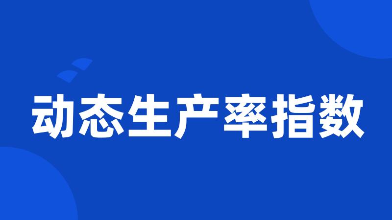 动态生产率指数