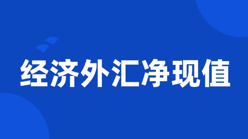 经济外汇净现值