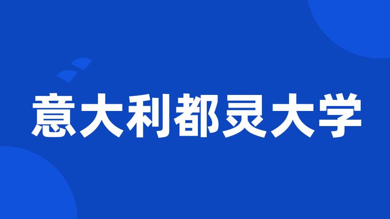意大利都灵大学