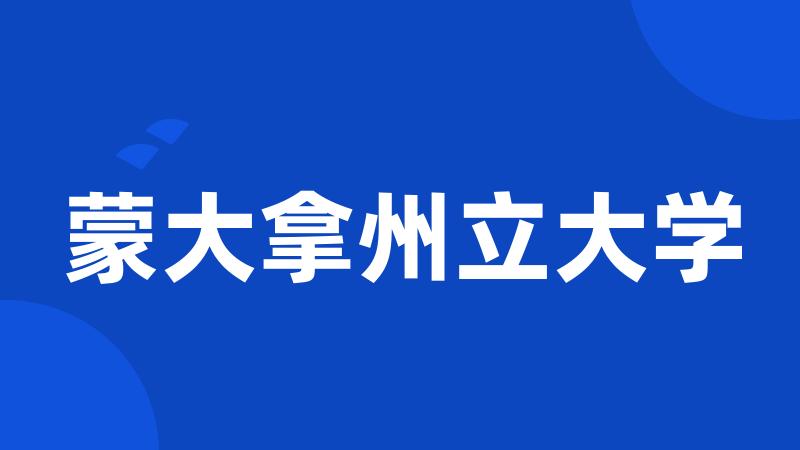 蒙大拿州立大学