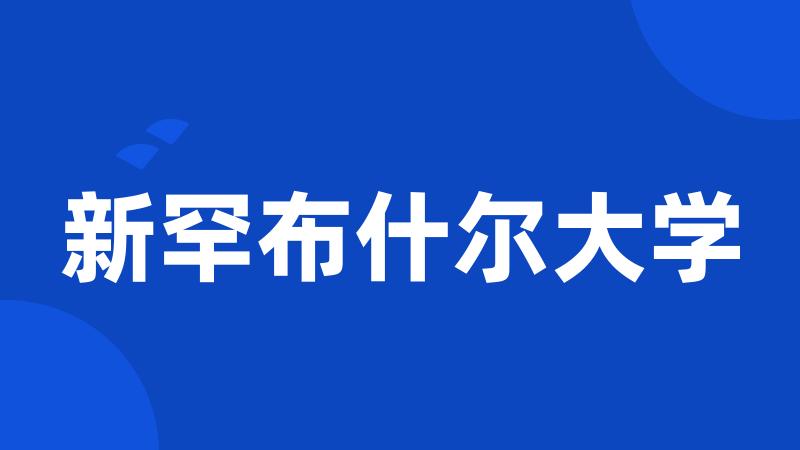 新罕布什尔大学