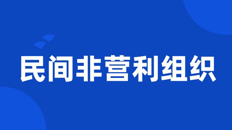 民间非营利组织