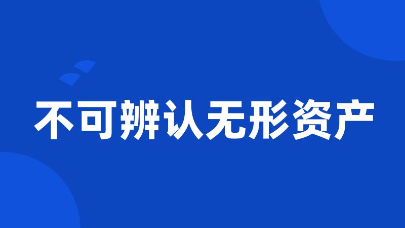 不可辨认无形资产
