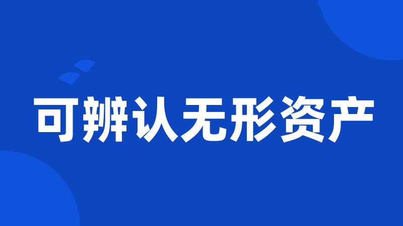 可辨认无形资产