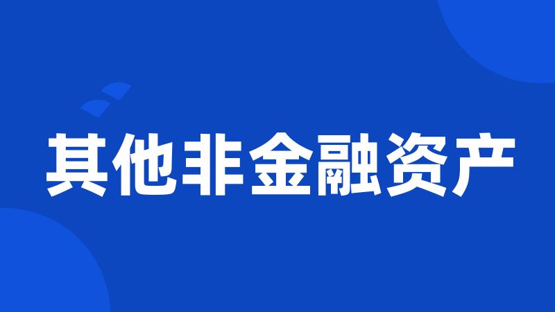 其他非金融资产