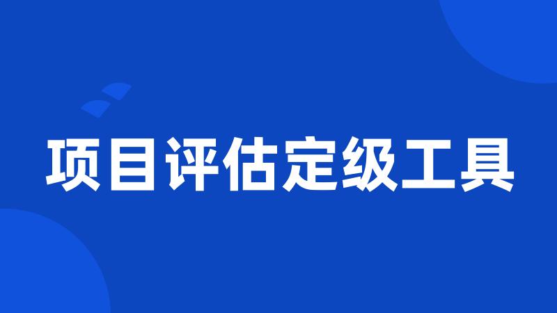 项目评估定级工具