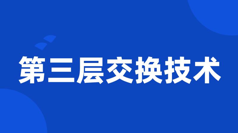 第三层交换技术