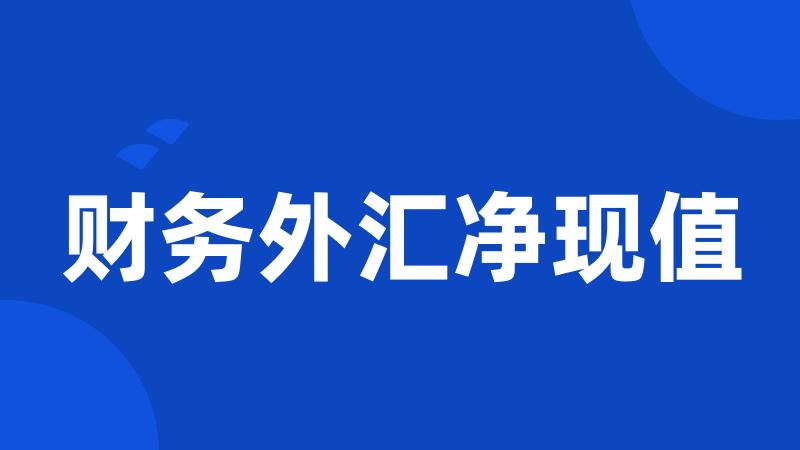 财务外汇净现值
