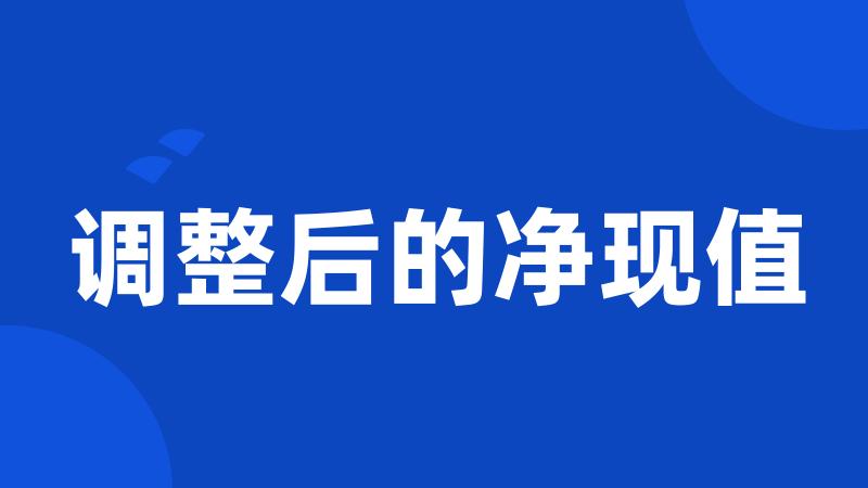 调整后的净现值