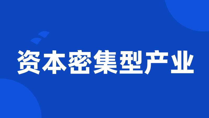 资本密集型产业