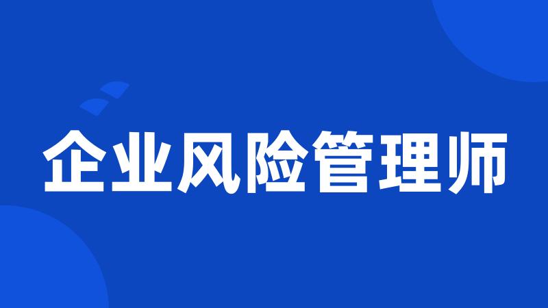 企业风险管理师