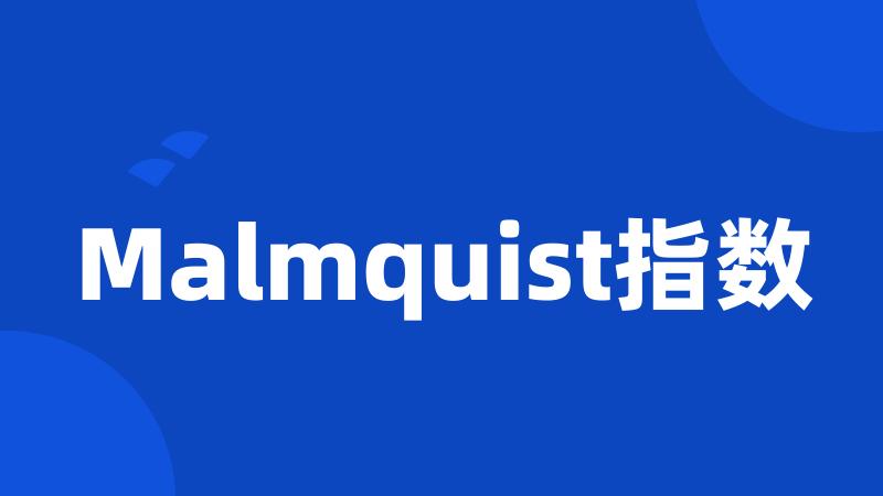 Malmquist指数