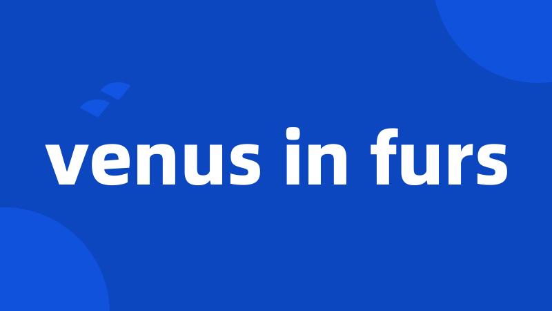 venus in furs