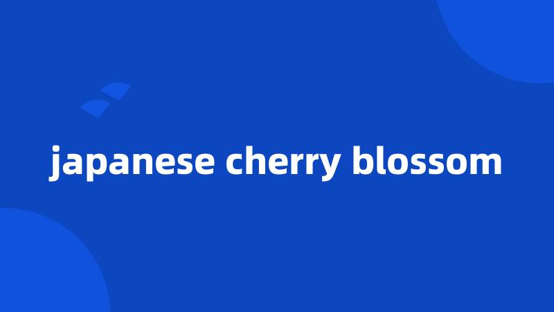 japanese cherry blossom