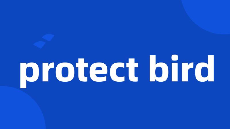 protect bird