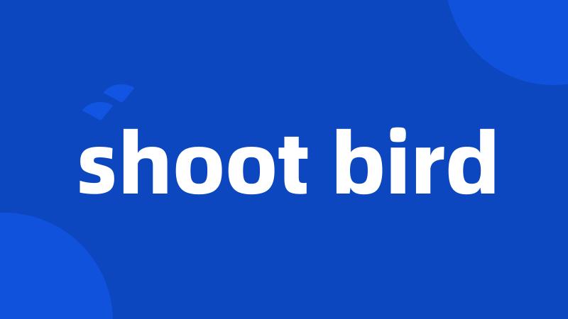 shoot bird