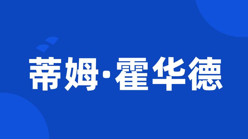 蒂姆·霍华德