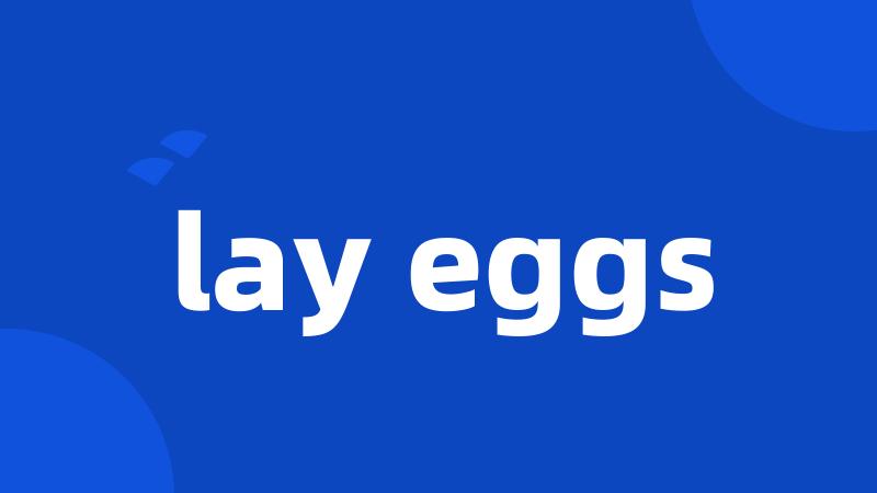 lay eggs