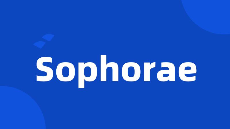 Sophorae