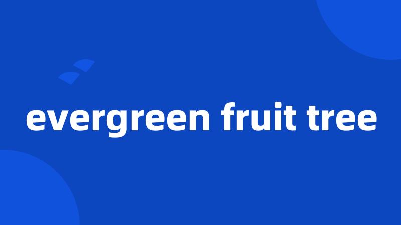 evergreen fruit tree