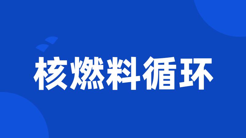 核燃料循环