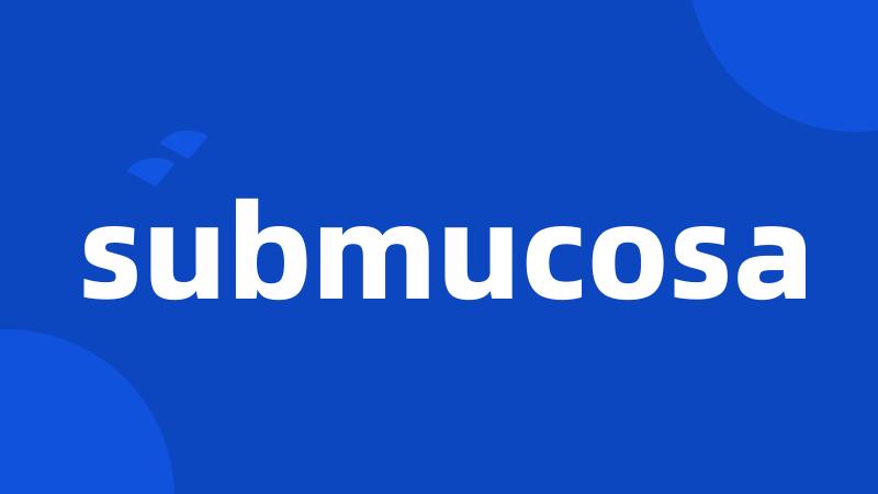 submucosa