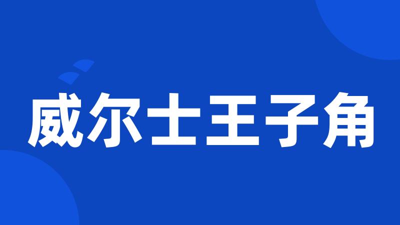 威尔士王子角