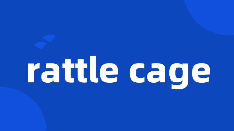 rattle cage