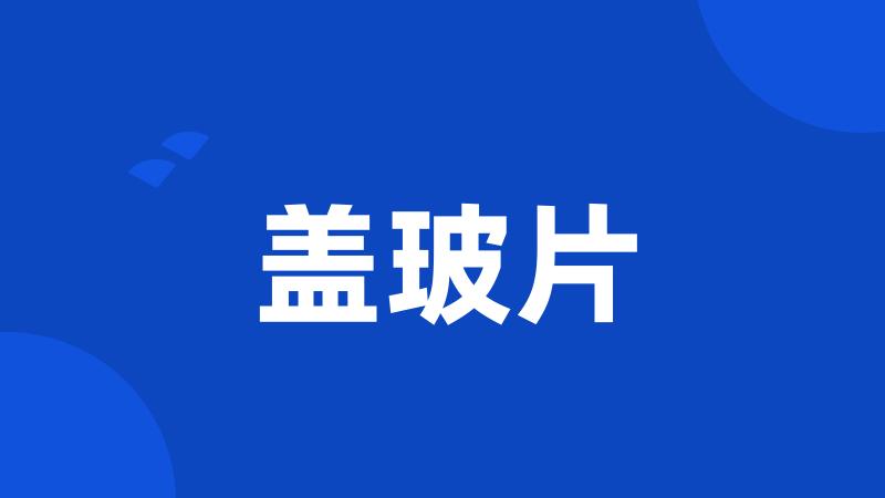 盖玻片
