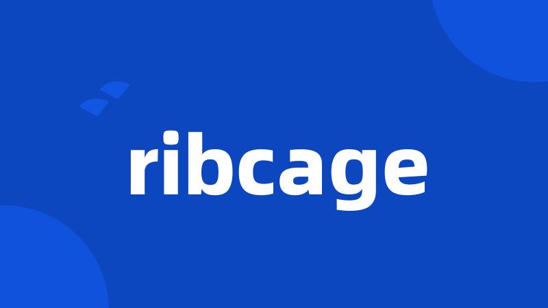 ribcage