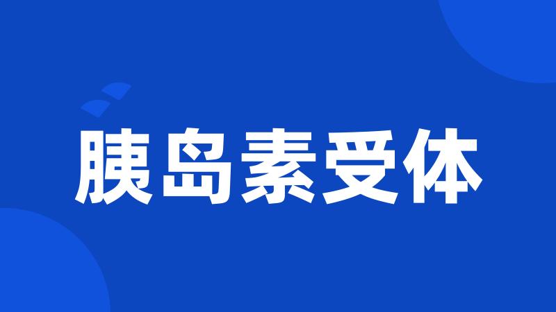 胰岛素受体
