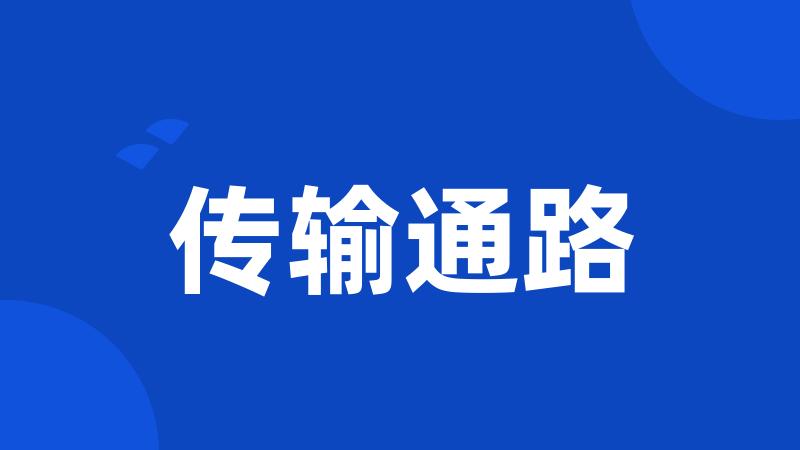 传输通路