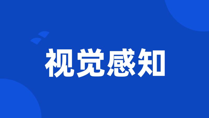 视觉感知