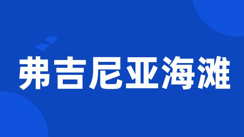 弗吉尼亚海滩