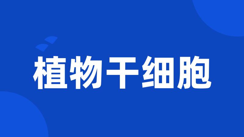 植物干细胞