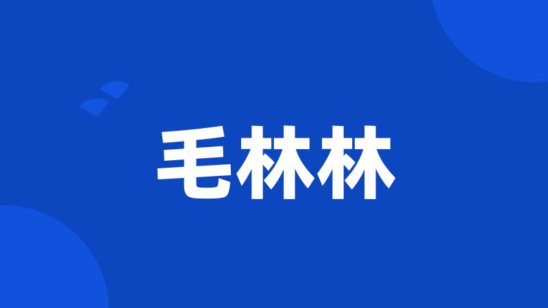 毛林林