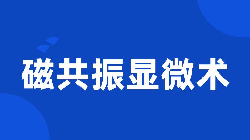 磁共振显微术