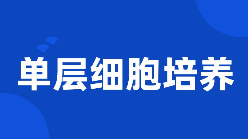 单层细胞培养