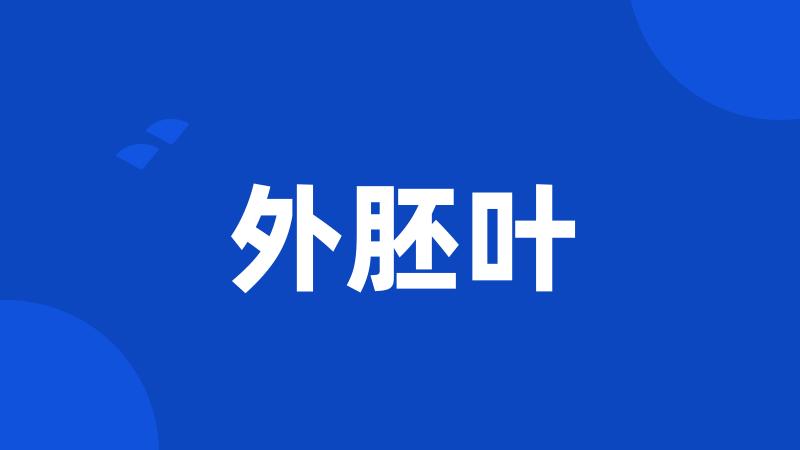 外胚叶